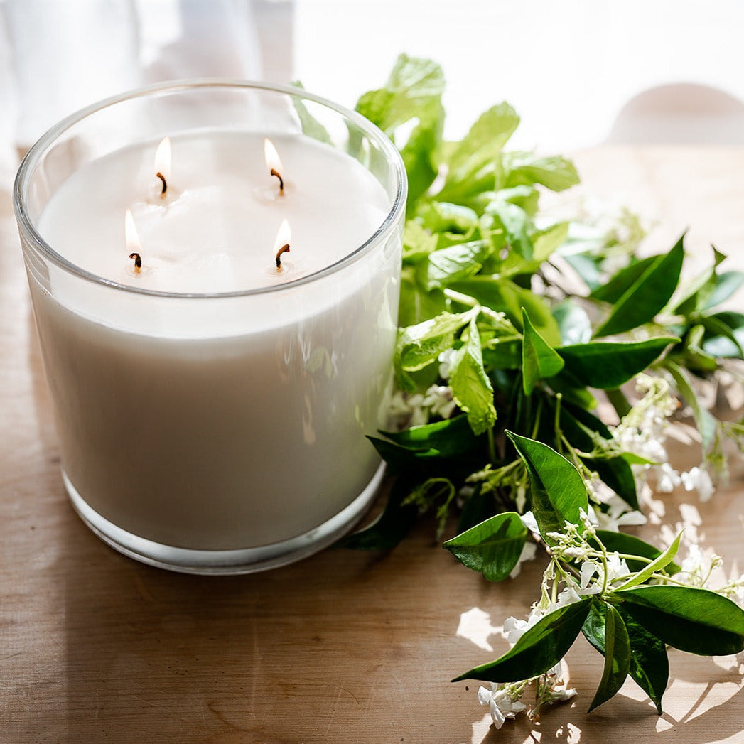 Jasmine & Mint 1.5kg Soy Candle