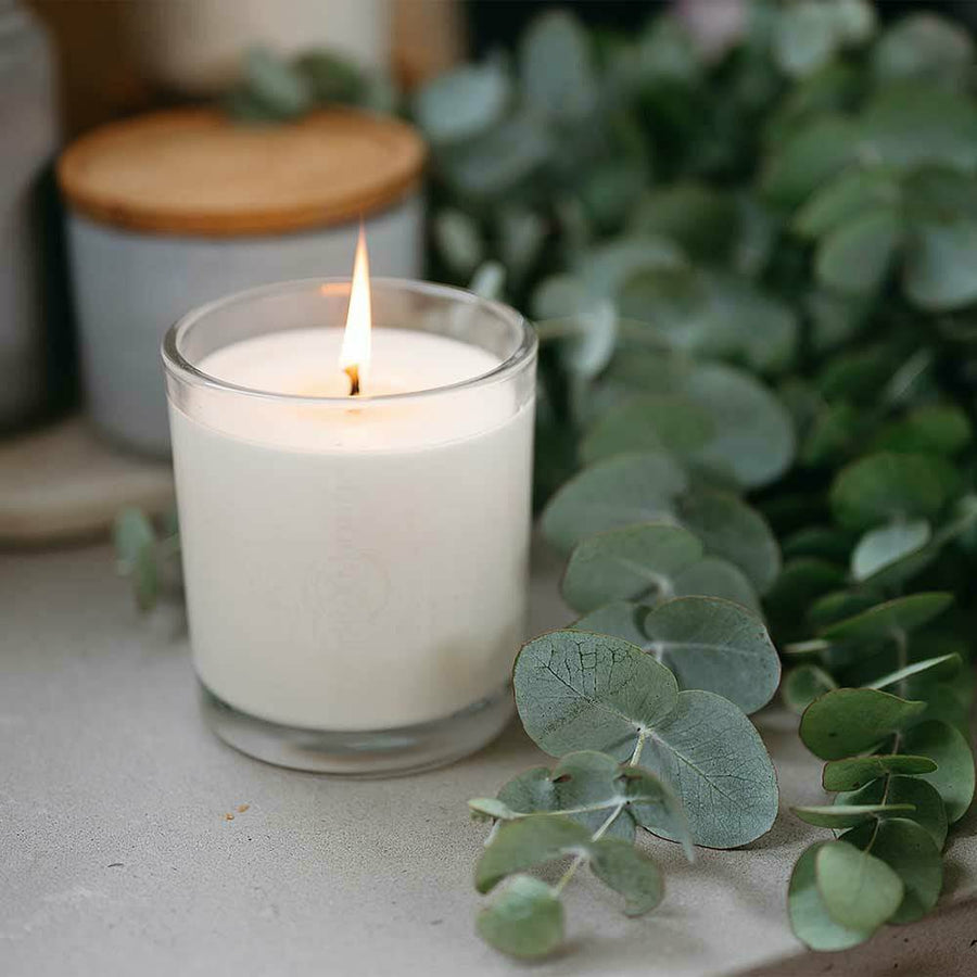 CandleXchange 400g glass candle lit sitting on bench surrounded by eucalyptus branches